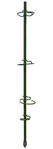 Multistake Set - Tomato Stake - Vine Plants - Vegetable Holder - Vertical Gardening - Tomato Planting - Garden