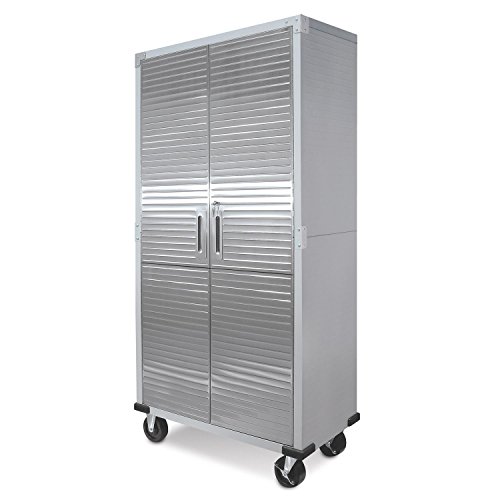Metal Rolling Garage Tool File Storage Cabinet Shelving Stainless Steel Doors --PEWT43 65234R3FA74534